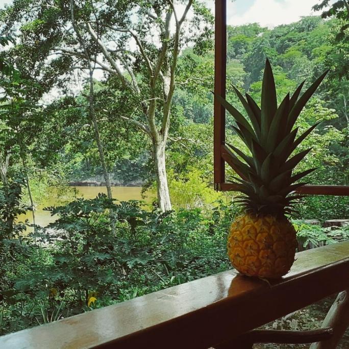 Alma Del Rio Eco-Comfort On The Water 圣伊格纳西奥 外观 照片