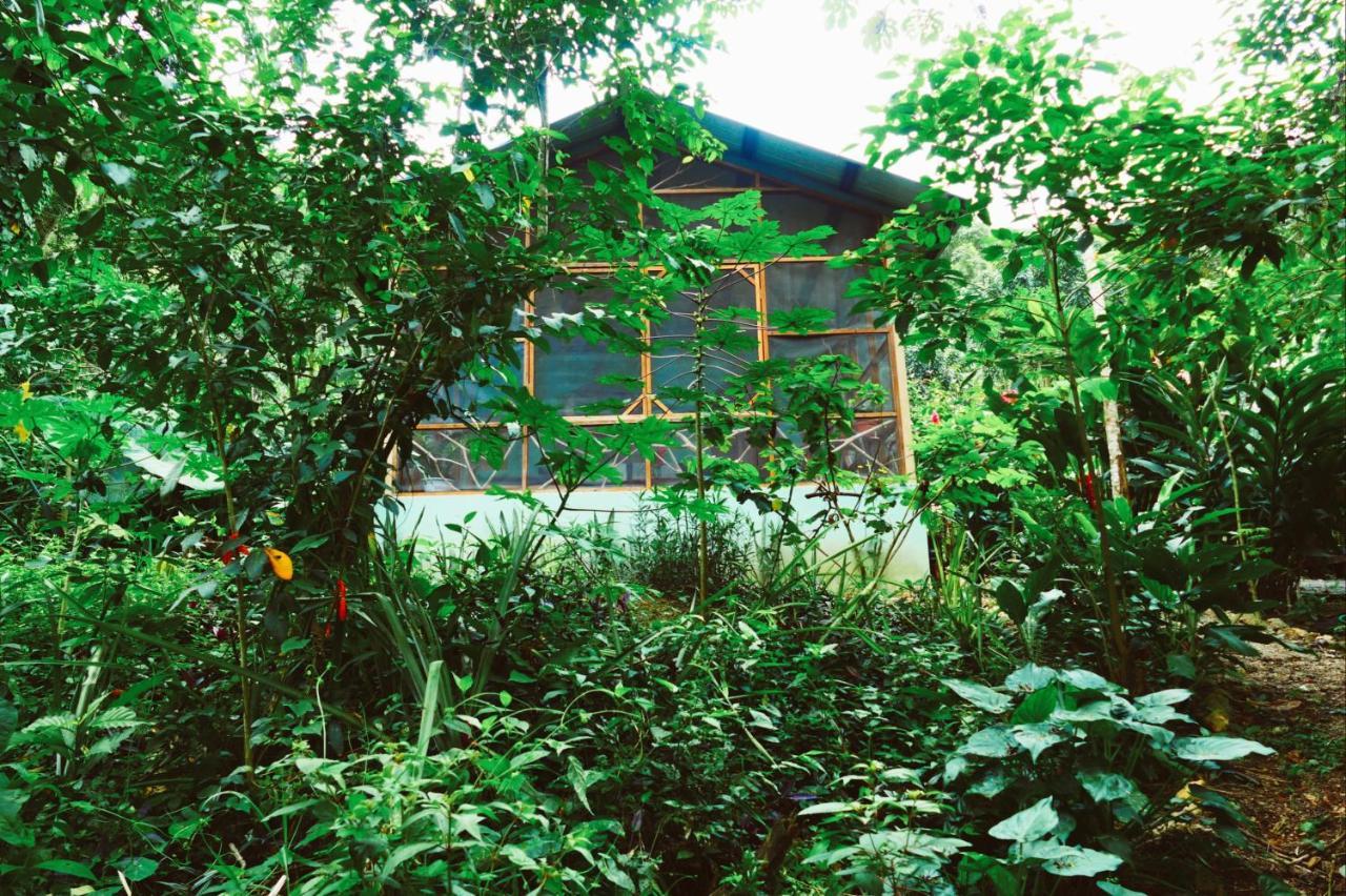 Alma Del Rio Eco-Comfort On The Water 圣伊格纳西奥 外观 照片